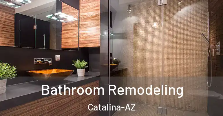 inner Bathroom imggen Bathroom Remodeling Catalina-AZ
