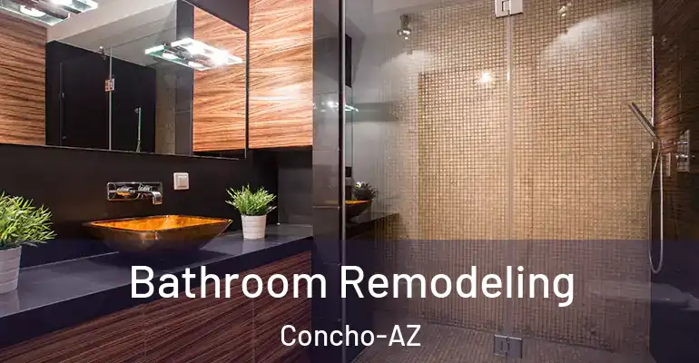 inner Bathroom imggen Bathroom Remodeling Concho-AZ