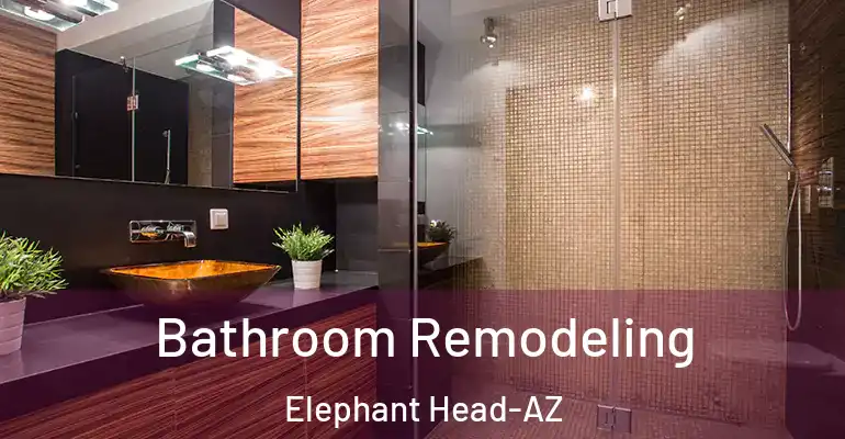 inner Bathroom imggen Bathroom Remodeling Elephant Head-AZ
