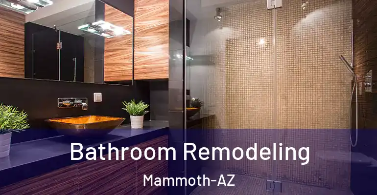 inner Bathroom imggen Bathroom Remodeling Mammoth-AZ