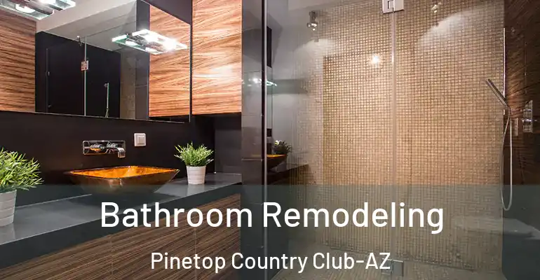 inner Bathroom imggen Bathroom Remodeling Pinetop Country Club-AZ
