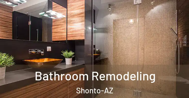 inner Bathroom imggen Bathroom Remodeling Shonto-AZ