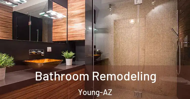 inner Bathroom imggen Bathroom Remodeling Young-AZ