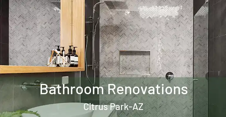 inner Bathroom imggen Bathroom Renovations Citrus Park-AZ