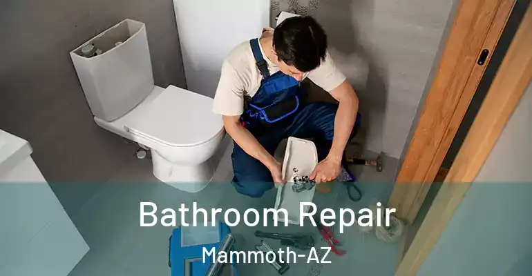 inner Bathroom imggen Bathroom Repair Mammoth-AZ