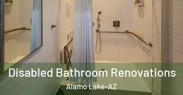 inner Bathroom imggen Disabled Bathroom Renovations Alamo Lake-AZ