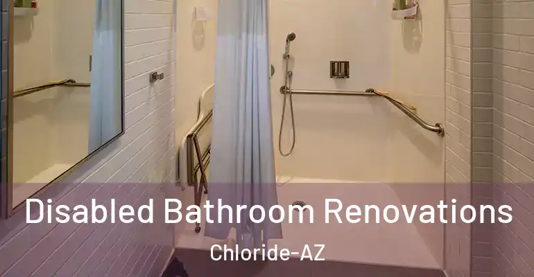inner Bathroom imggen Disabled Bathroom Renovations Chloride-AZ