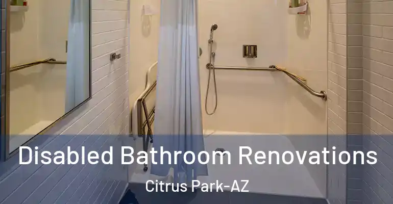 inner Bathroom imggen Disabled Bathroom Renovations Citrus Park-AZ