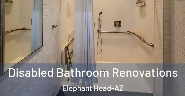 inner Bathroom imggen Disabled Bathroom Renovations Elephant Head-AZ