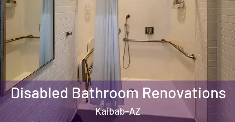 inner Bathroom imggen Disabled Bathroom Renovations Kaibab-AZ