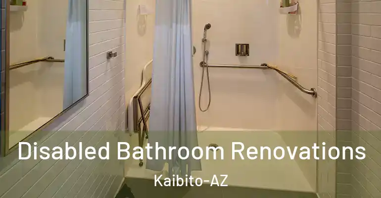inner Bathroom imggen Disabled Bathroom Renovations Kaibito-AZ