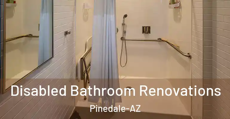 inner Bathroom imggen Disabled Bathroom Renovations Pinedale-AZ