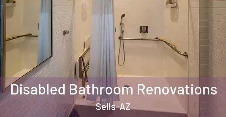 inner Bathroom imggen Disabled Bathroom Renovations Sells-AZ