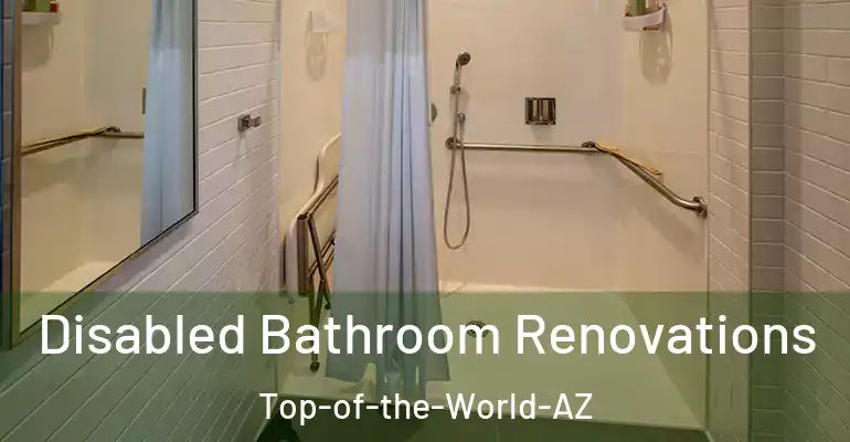 inner Bathroom imggen Disabled Bathroom Renovations Top-of-the-World-AZ