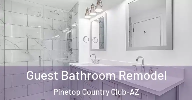 inner Bathroom imggen Guest Bathroom Remodel Pinetop Country Club-AZ