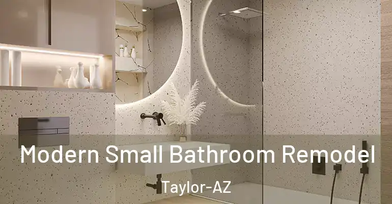 inner Bathroom imggen Modern Small Bathroom Remodel Taylor-AZ