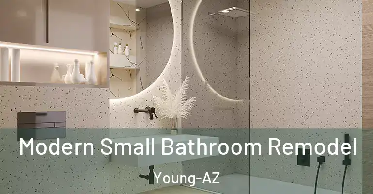 inner Bathroom imggen Modern Small Bathroom Remodel Young-AZ