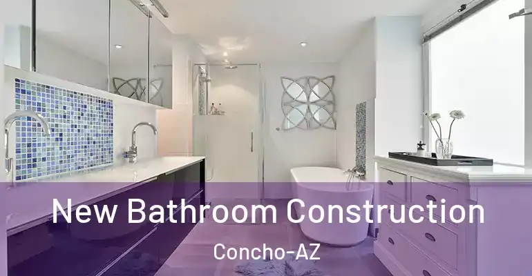 inner Bathroom imggen New Bathroom Construction Concho-AZ