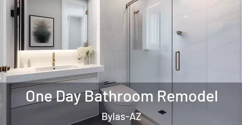 inner Bathroom imggen One Day Bathroom Remodel Bylas-AZ