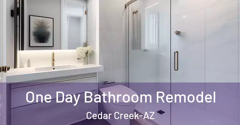 inner Bathroom imggen One Day Bathroom Remodel Cedar Creek-AZ