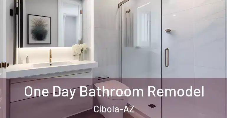 inner Bathroom imggen One Day Bathroom Remodel Cibola-AZ