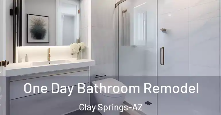 inner Bathroom imggen One Day Bathroom Remodel Clay Springs-AZ