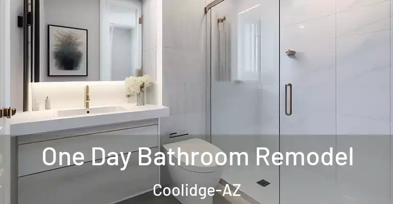 inner Bathroom imggen One Day Bathroom Remodel Coolidge-AZ