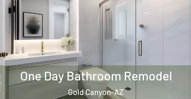 inner Bathroom imggen One Day Bathroom Remodel Gold Canyon-AZ