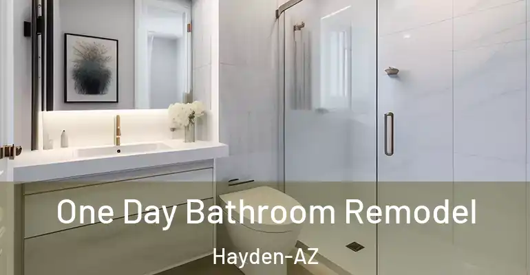 inner Bathroom imggen One Day Bathroom Remodel Hayden-AZ