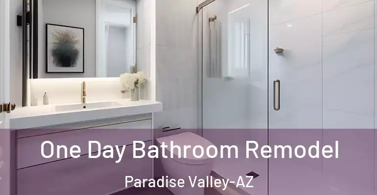 inner Bathroom imggen One Day Bathroom Remodel Paradise Valley-AZ