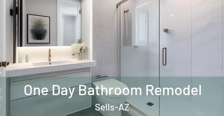 inner Bathroom imggen One Day Bathroom Remodel Sells-AZ