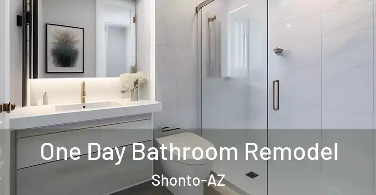 inner Bathroom imggen One Day Bathroom Remodel Shonto-AZ