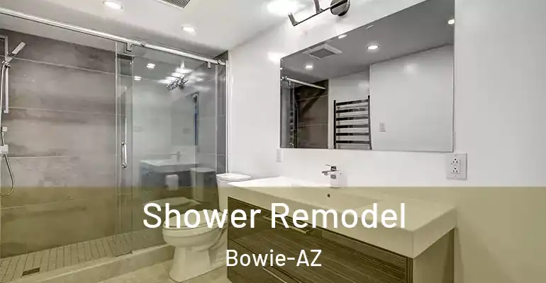inner Bathroom imggen Shower Remodel Bowie-AZ