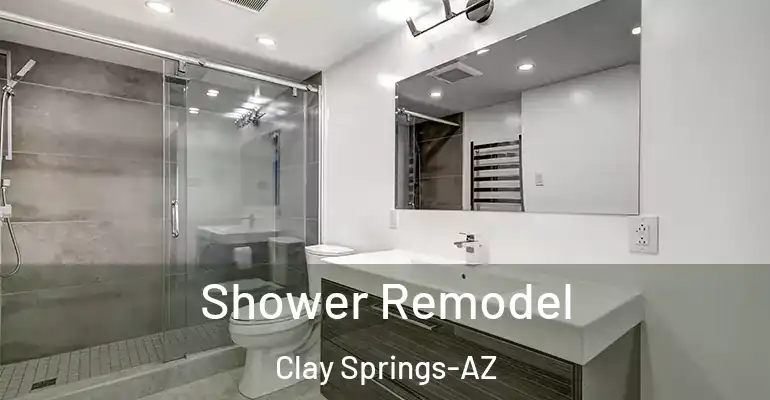 inner Bathroom imggen Shower Remodel Clay Springs-AZ