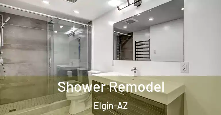 inner Bathroom imggen Shower Remodel Elgin-AZ