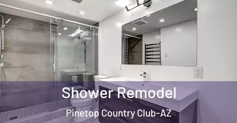 inner Bathroom imggen Shower Remodel Pinetop Country Club-AZ