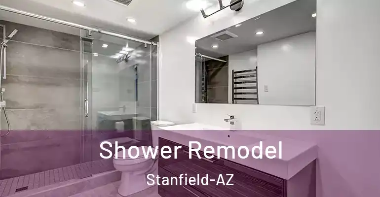 inner Bathroom imggen Shower Remodel Stanfield-AZ