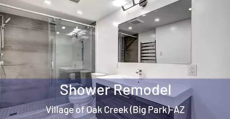 inner Bathroom imggen Shower Remodel Village of Oak Creek (Big Park)-AZ