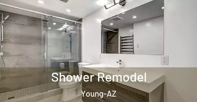 inner Bathroom imggen Shower Remodel Young-AZ