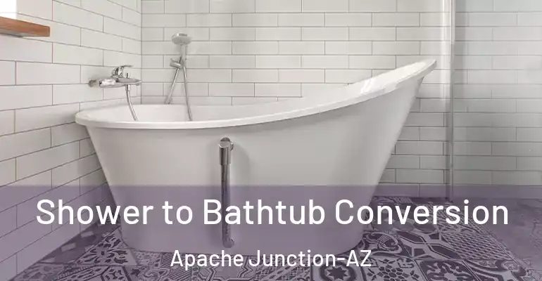 inner Bathroom imggen Shower to Bathtub Conversion Apache Junction-AZ
