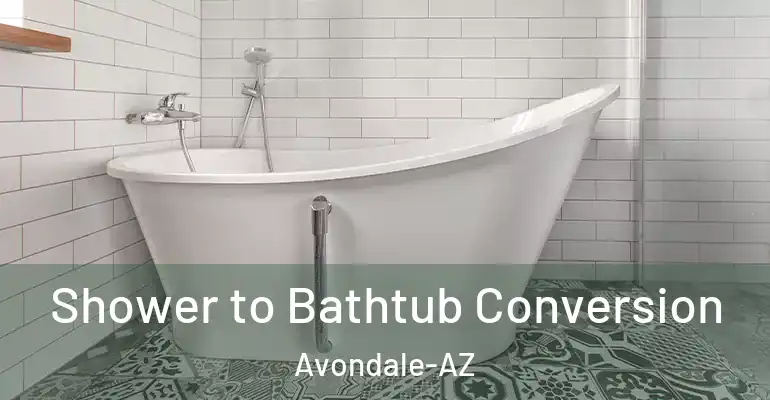 inner Bathroom imggen Shower to Bathtub Conversion Avondale-AZ