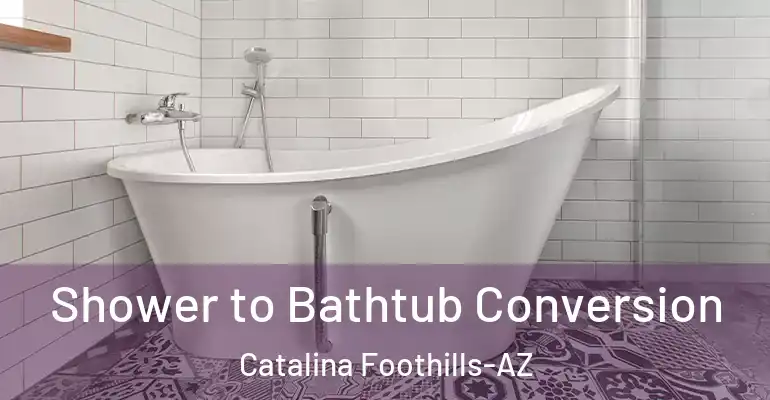 inner Bathroom imggen Shower to Bathtub Conversion Catalina Foothills-AZ