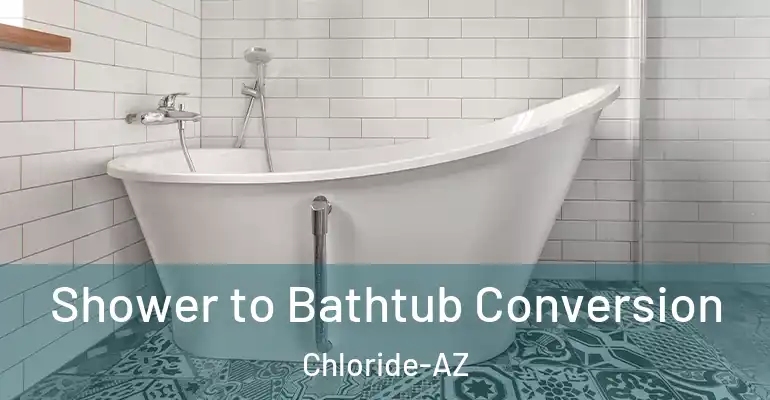 inner Bathroom imggen Shower to Bathtub Conversion Chloride-AZ