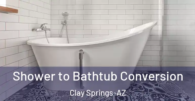 inner Bathroom imggen Shower to Bathtub Conversion Clay Springs-AZ