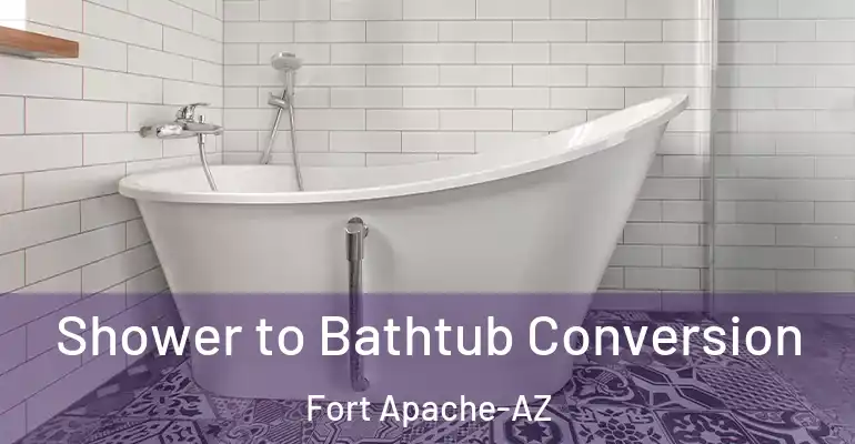 inner Bathroom imggen Shower to Bathtub Conversion Fort Apache-AZ