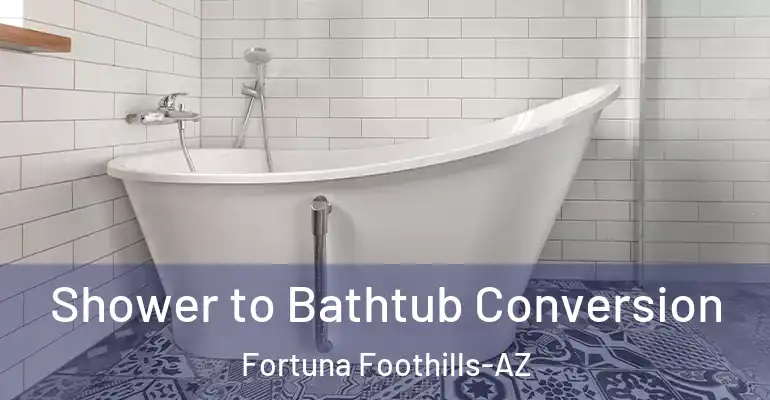 inner Bathroom imggen Shower to Bathtub Conversion Fortuna Foothills-AZ