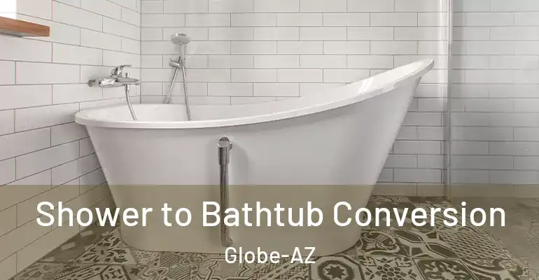 inner Bathroom imggen Shower to Bathtub Conversion Globe-AZ