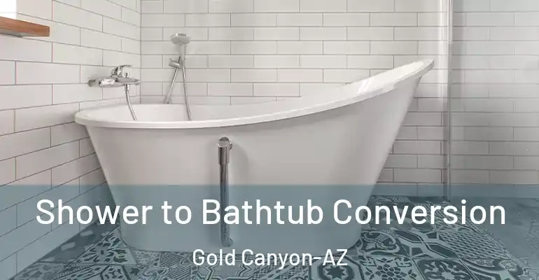 inner Bathroom imggen Shower to Bathtub Conversion Gold Canyon-AZ