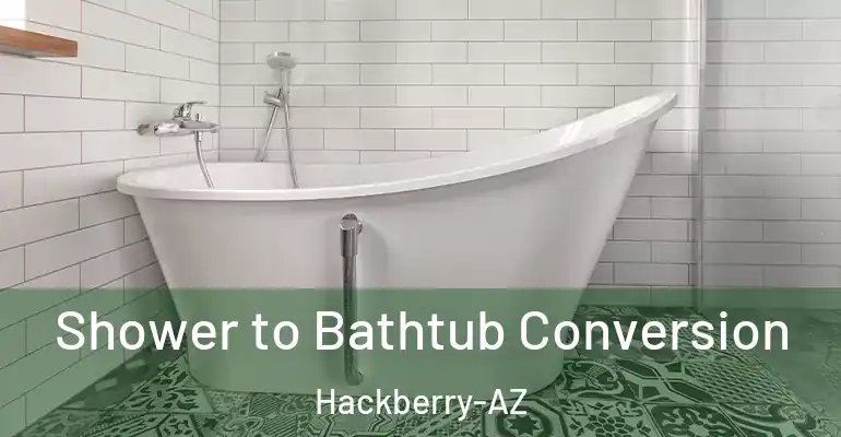 inner Bathroom imggen Shower to Bathtub Conversion Hackberry-AZ