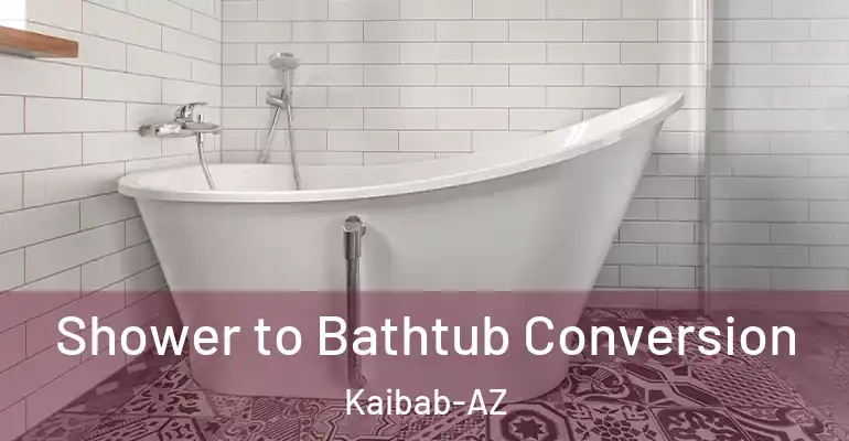 inner Bathroom imggen Shower to Bathtub Conversion Kaibab-AZ